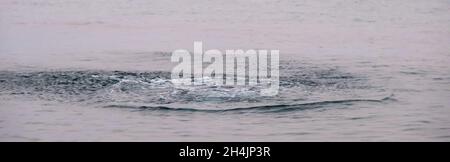 big water splashing and the waves in the sea, ocean foam Stock Photo