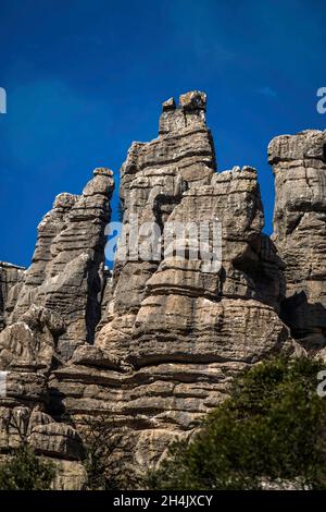 Spain, Andalusia, Malaga, city of Antequera, Torcal de Antequera, a limestone massif that has become a nature reserve to protect an endemic ibex species, the Iberian ibex or capra pyrenaica hispanica Stock Photo