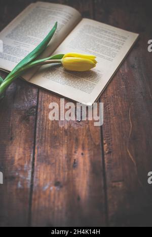 Yellow tulip lying on an open book on a wooden table Stock Photo