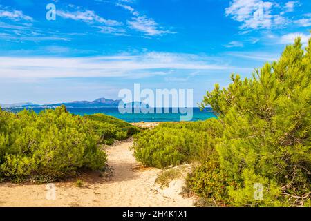 Path thru rough natural coastal and beach landscape panorama with turquoise water waves mountains rocks boulders and stones in Can Picafort on Baleari Stock Photo