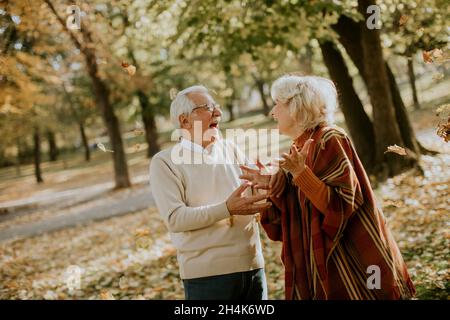 Handsome senior couple having fun in autumn park Stock Photo