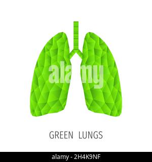 Polygonal green lungs isolated on white. Abstract low poly triangle ecology concept. Human internal organ. Medical vector icon. Stock Vector