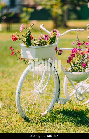 Sunny mode shop bicycle rack