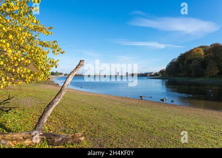 Edgbaston Reservoir in Birmingham on a sunny autumn day Stock Photo