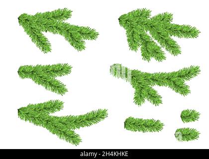 Set of spruce branch isolated on white background. Green fir. Realistic Christmas tree. Vector illustration for Xmas cards. Stock Vector