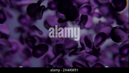 Purple blood cells under microscope abstract background 3d-rendering Stock Photo