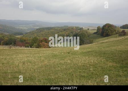 nordic walking at the Palatinate Forest, Germany, Rhineland-Palatinate ...