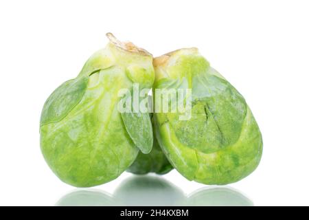 Organic ripe brussels sprouts, close-up, isolated on white. Stock Photo