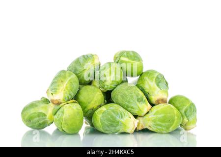 Organic ripe brussels sprouts, close-up, isolated on white. Stock Photo
