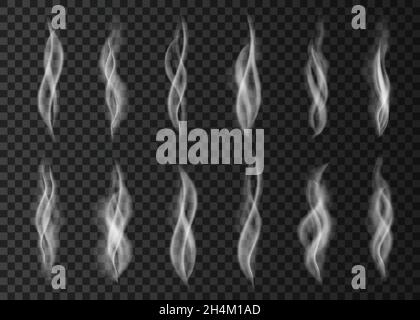 White cigarette smoke  set isolated on transparent background.  Steam  from a cup of coffee or  tea.  Realistic  vector illustration. Stock Vector