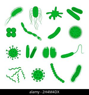 Germs and bacteria icons set  isolated on white background.  Shape of bacterial cell: cocci, bacilli, spirilla.  Vector  illustration in flat style. Stock Vector