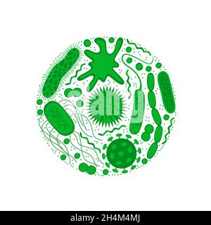 Germs and bacteria   isolated on white background.  Shape of bacterial cell: cocci, bacilli, spirilla.  Vector  illustration in flat style. Stock Vector