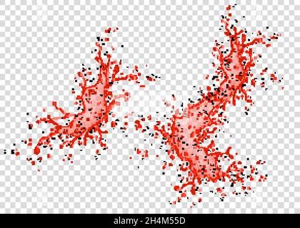 Strawberry, cherry, raspberry or  tomato juice  splash  isolated on transparent background. Realistic vector texture. Stock Vector