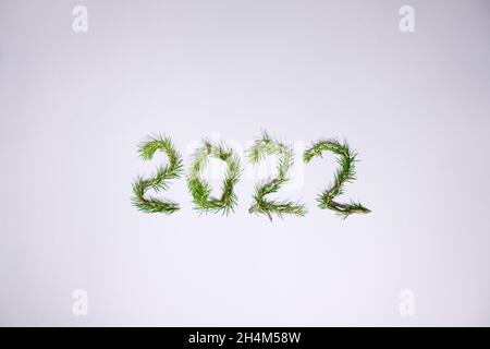 Lightbox with 2022 numbers handmade from Christmas tree branches. Stock Photo