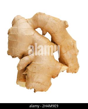Ginger root isolated on a white background Stock Photo