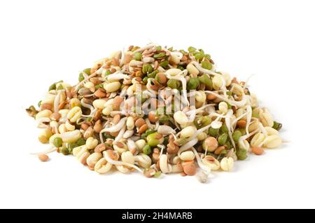 Mix of various germinated sprouts isolated on white background Stock Photo