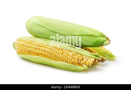 Corncobs or corn ears isolated on white background Stock Photo