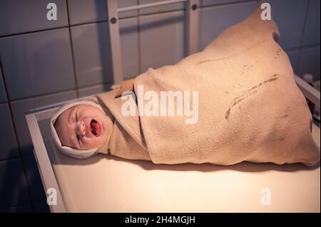 a newborn baby on the first day of its birth in the maternity hospital. Stock Photo