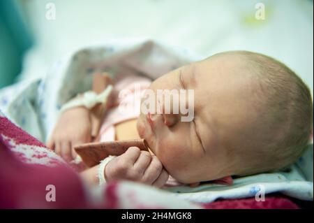 a newborn baby on the first day of its birth in the maternity hospital. Stock Photo