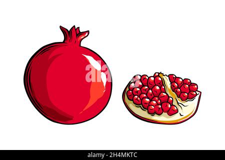 Pomegranate fruit side view. Colored exotic pomegranate fruit. Vector illustration isolated in white background Stock Vector
