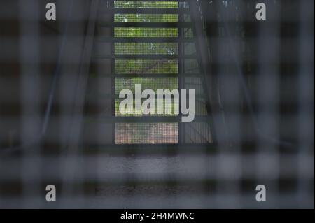 detail of a staircase behind a grille with trees in the background Stock Photo