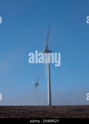 Wind turbines emerging from the mist. Corrimony Wind Farm, Highland, Scotland Stock Photo