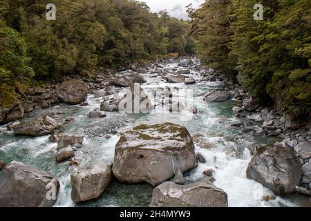 The Rocky Hollyford River in the South Island of New Zealand
