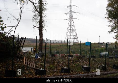 Aylesbury Vale, UK. 3rd November, 2021. Ancient woodland next to the camp has been destroyed by HS2. Anti HS2 activists including Daniel Hooper known as Swampy, remain holed up underground deep in tunnels at the Wendover Active Resistance WAR camp on the outskirts of Wendover. The National Eviction Team Enforcement Agents starting evicting the camp on 10th October however they are struggling to get access into the maze of underground tunnels built by the activists who are fighting to Stop the destructive High Speed Rail project. Credit: Maureen McLean/Alamy Live News Stock Photo