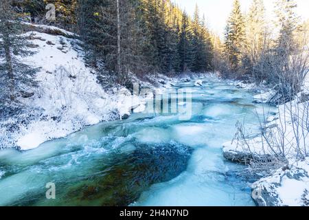 The rapid flow of the river among the mountains and pines. Beautiful winter landscape. Crystal clear water in the river. Stock Photo