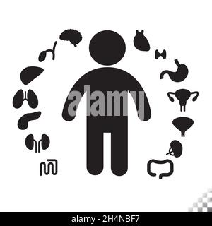 solid stick figure icon with human icon organs circling the person, heart, liver, lungs, stomach, reproductive system, gallbladder, kidneys, Stock Vector