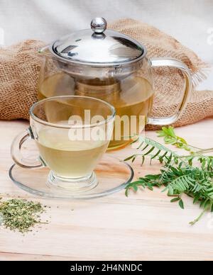 Cancer Bush Tea, Traditional Herbal Medicine Made From Sutherlandia ...