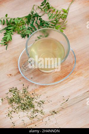 Cancer Bush Tea, Traditional Herbal Medicine Made From Sutherlandia ...