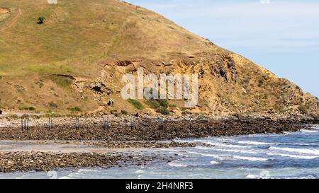 The myponga jetty ruins with the cliffs located behind in South Australia on October 26th 2021 Stock Photo