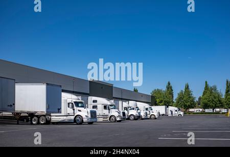 Different industrial grade for national wide freights big rig semi trucks with semi trailers standing at row at warehouse dock gates loading cargo for Stock Photo