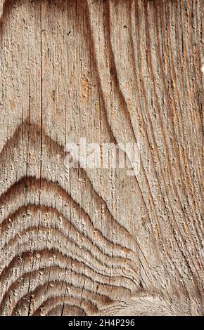 light wood with interesting grain Stock Photo