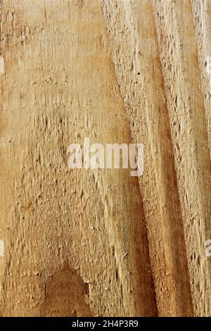 light wood with interesting grain Stock Photo