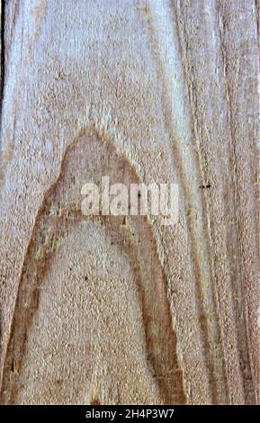 light wood with interesting grain Stock Photo