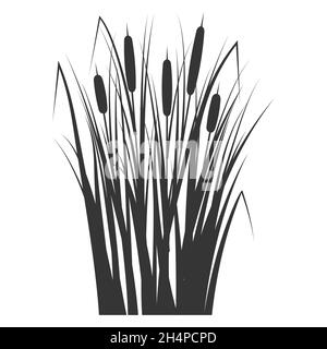 Silhouette of a reed in the green grass. Swamp and river plants. Cattail isolated on white background. Vector flat illustration Stock Vector