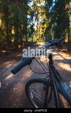 Bicycle on a road in a pine forest. Morning outdoor activities. View from bikers eyes. Mountain biking along a path in wood in the morning light. Stock Photo