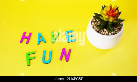 Have fun in colorful toy letters on yellow background with cactus Stock Photo