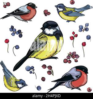 isolated set of bright colored little birds Stock Vector