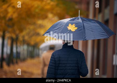Man with umbrella walking under yellow maple trees on city street during autumn rainy day. Fall season in Prague, Czech Republic. Stock Photo