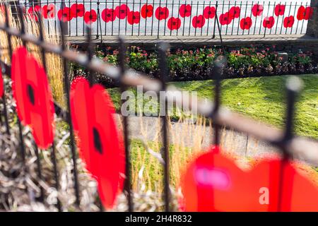 Poppy Day memorials at the war memorial in Shelf, West Yorkshire, England, UK. Remembrance Day (also known as Poppy Day owing to the tradition of wearing a remembrance poppy) is a memorial day observed in Commonwealth member states since the end of the First World War to honour armed forces members who have died in the line of duty. Following a tradition inaugurated by King George V in 1919,the day is also marked by war remembrances in many non-Commonwealth countries. In most countries, Remembrance Day is observed on 11 November to recall the end of First World War hostilities. Stock Photo