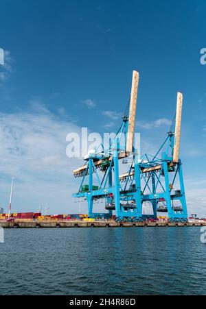 Le Havre, France - July 29, 2021: General view of Port 2000 container terminal equipped with super post-panamax container gantry cranes to receive the Stock Photo