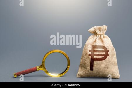 Philippine peso money bag and magnifying glass. Financial audit. Search for funding. Capital origins, legality of funds. Monitoring and accounting. Bu Stock Photo