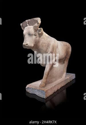 Egyptian statue sculpture of the sacred bull Apis, 379-361 BC, 30th Dynasty, Temple of Nectanebo Serapeum , Memphis. Louvre Museum iunv N390. Apis (bu Stock Photo