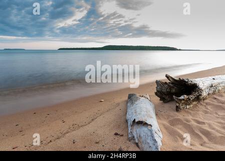 Sunrise reflected on wet beach sand with incoming waves, seagull and logs. Stock Photo