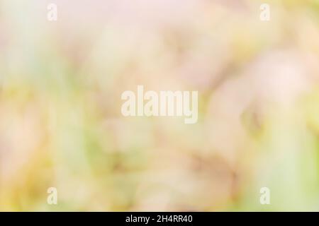 Soft mottled background in autumn tones of greens, yellows and browns. Perfect background for text or for use as an image overlay. Stock Photo