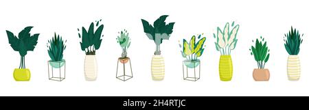 Houseplants in pots set in flat style. Vector cartoon illustration Stock Vector