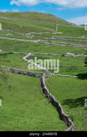 Dry stone wall, view of traditional dry stone walls sited on a hillside in Malhamdale, North Yorkshire Dales National Park, England, UK Stock Photo